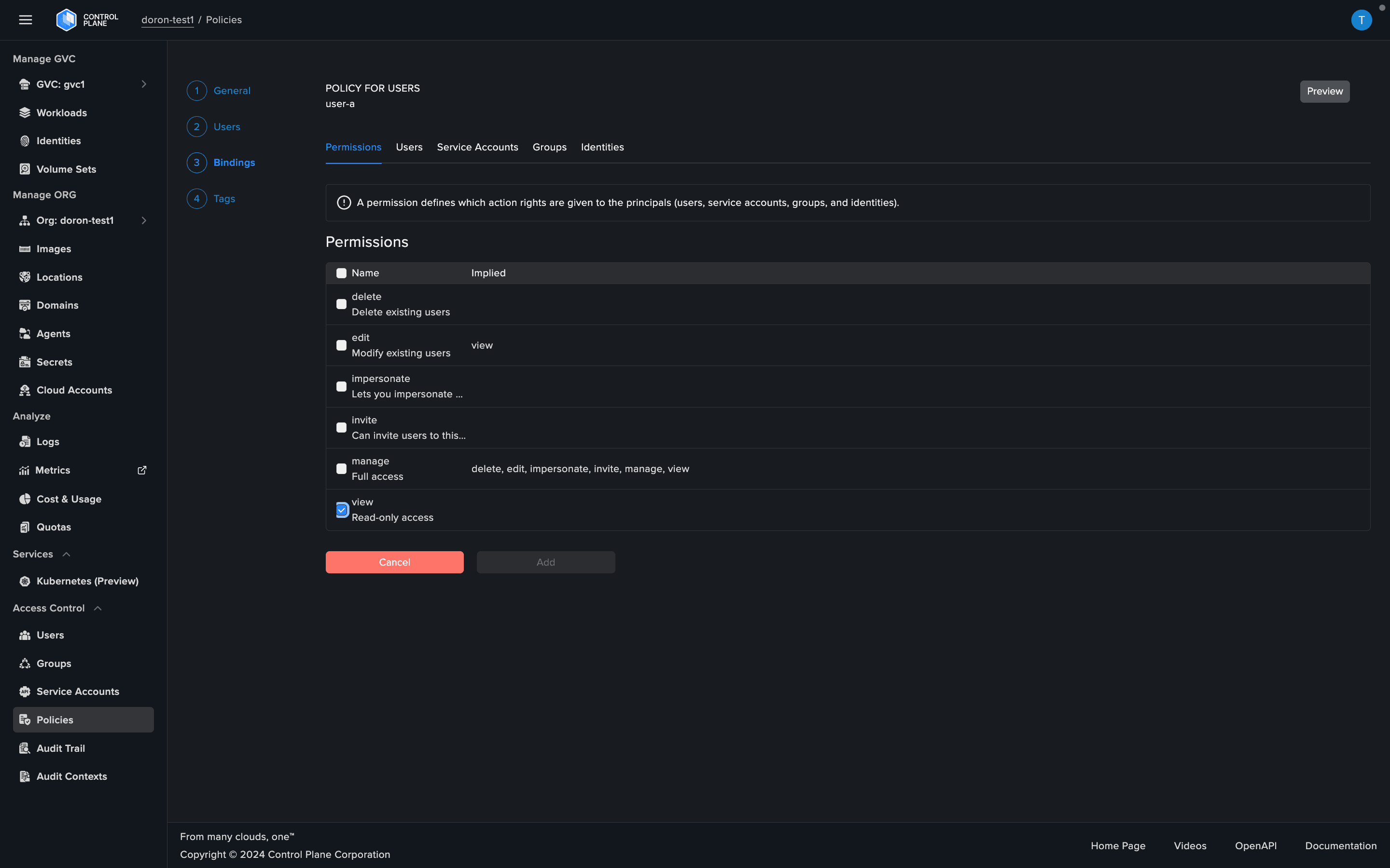 Control Plane policy editor showing a 'user-a' policy granting read-only permissions.